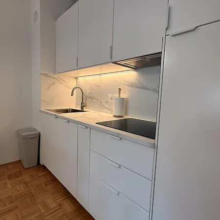 In The Center Of Bohinjska Bistrica N1-4 Apartmán